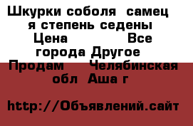 Шкурки соболя (самец) 1-я степень седены › Цена ­ 12 000 - Все города Другое » Продам   . Челябинская обл.,Аша г.